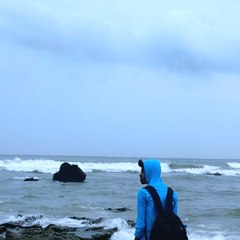 traveller sainath