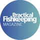 Practical Fishkeeping