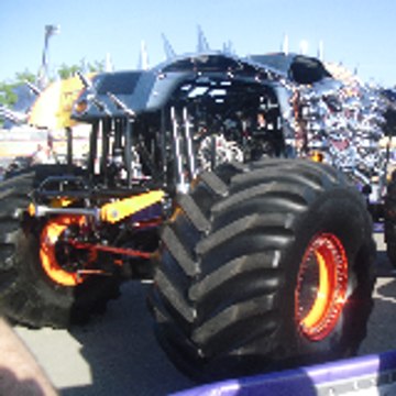Max-D Fan 2011