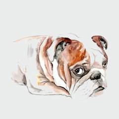 DOGGYDOGMOTION