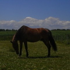 estera1991