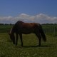 estera1991