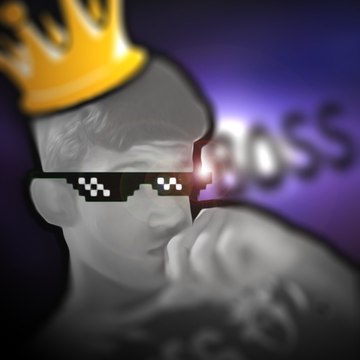 Zoa_Videos