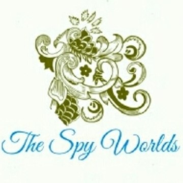 The Spy World