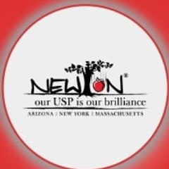 Newton Consulting