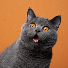 ARCompuTips