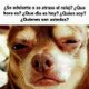 noveleras 8