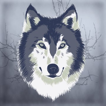 TheLonelyWolf
