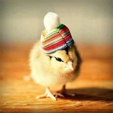 fun.musti