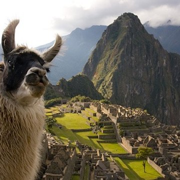 REALIDADES Y VARIEDADES