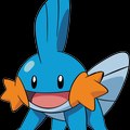 Jojo The Mudkip