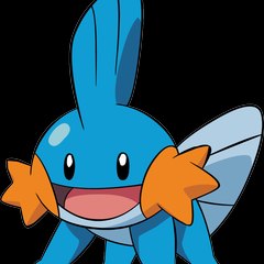 Jojo The Mudkip