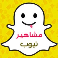 مشاهير تيوب