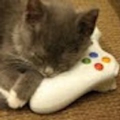 Kittensmile309 Gaming