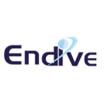 Endive Software
