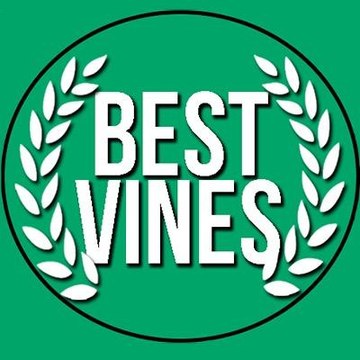 The Best Vines