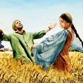 Download Phillauri Full Movie In Hindi