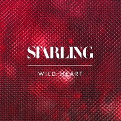 Starling