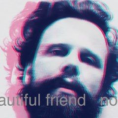 a Beautiful Friend