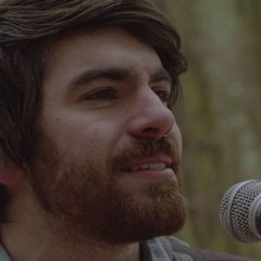 Wolves At The Gate