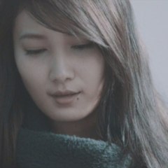 Kinokoteikoku