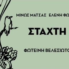 Fotini Velesiotou