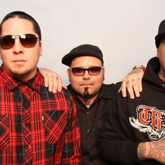 P.O.D.