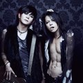 VAMPS