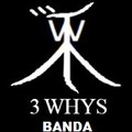 3 Whys