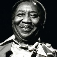 Muddy Waters