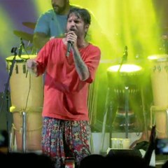 Saulo
