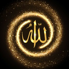 Urdu Video Naats (U.V.N)
