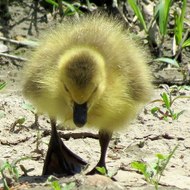 화곡OP 오피쓰 화곡오피 화곡휴게텔 opss3 닷 컴 화곡건마