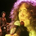 Whitesnake