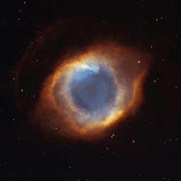 Person hubble29