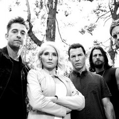 Animal Kingdom #Season 2