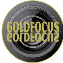 Goldfocus productions