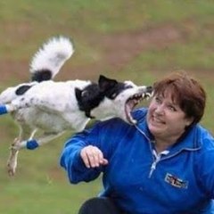 Best Viral Videos