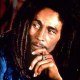 rasta-ludo
