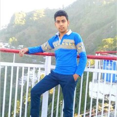 Rishabh Malik