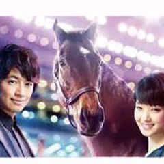 Horse Racing Tokyo