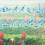 T.Special Entertainment