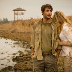 Zoo  - Online Stream