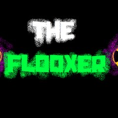 ☢TheFlooxer☢