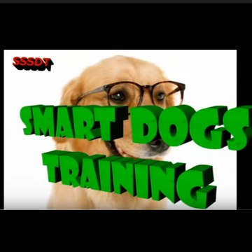 SMART DOGS TRAINING