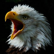 강남오피 강남건마 오피쓰 opss3.com