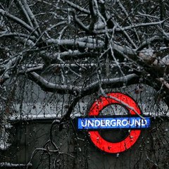 Going Underground