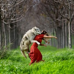 intresting videos