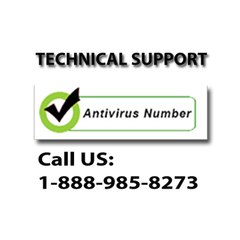 1-888-985-8273 Antivirus Customer Support USA