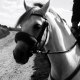 titepuce02100